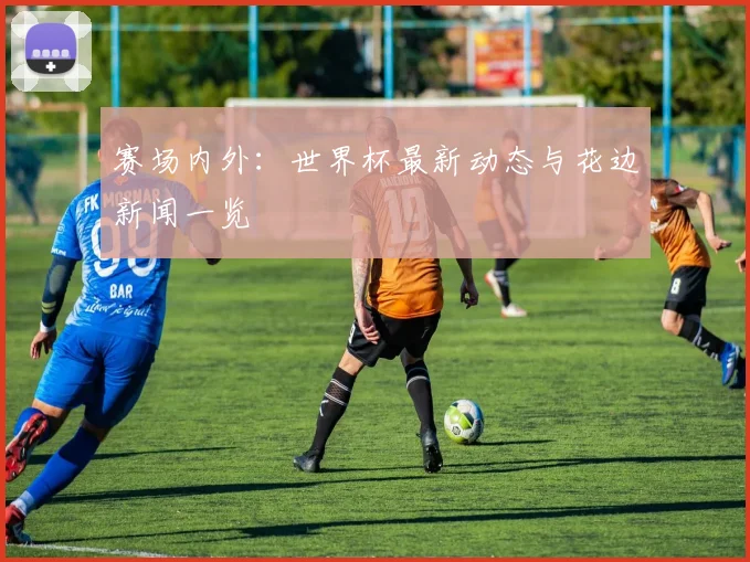 赛场内外：世界杯最新动态与花边新闻一览