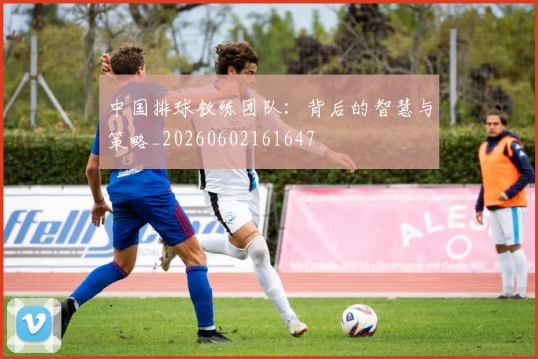 中国排球教练团队:背后的智慧与策略_20260602161647
