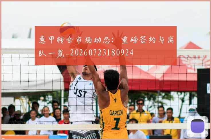 意甲转会市场动态：重磅签约与离队一览_20260723180924