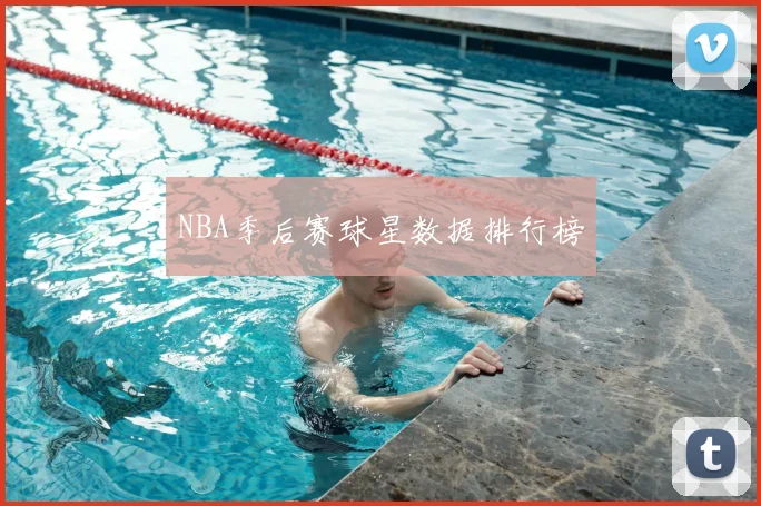 NBA季后赛球星数据排行榜