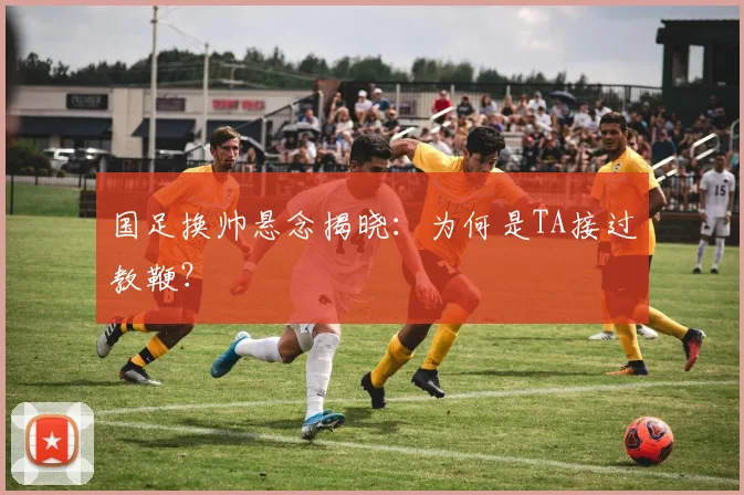 国足换帅悬念揭晓:为何是TA接过教鞭?
