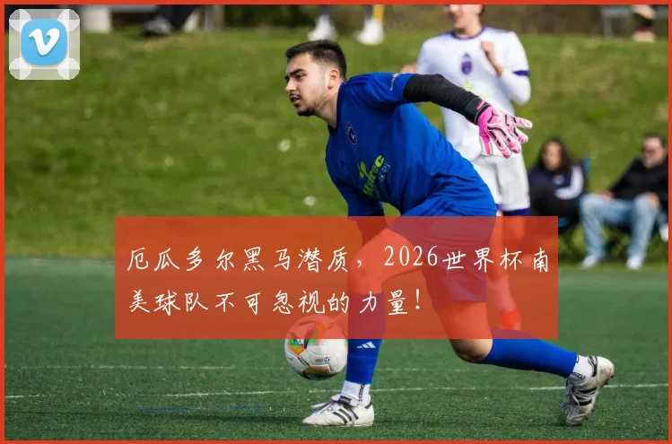 厄瓜多尔黑马潜质,2026世界杯南美球队不可忽视的力量!